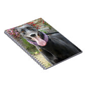 Carnet Greyhound (Côté Droit)