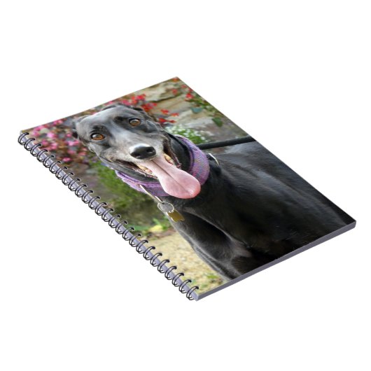 Carnet Greyhound (Côté Droit)