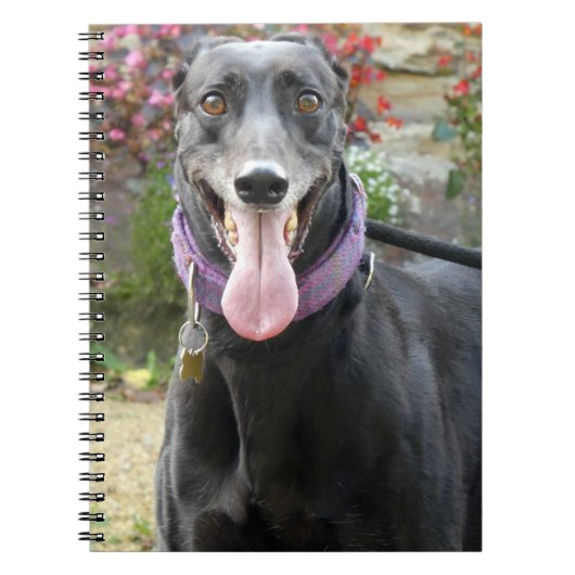 Carnet Greyhound (Devant)