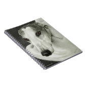 Carnet Greyhound - "Sécurité" (Côté Droit)