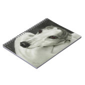 Carnet Greyhound - "Sécurité" (Côté gauche)