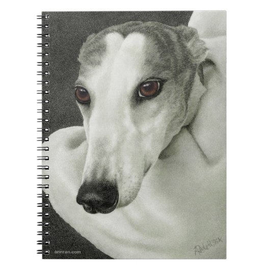 Carnet Greyhound - "Sécurité" (Devant)