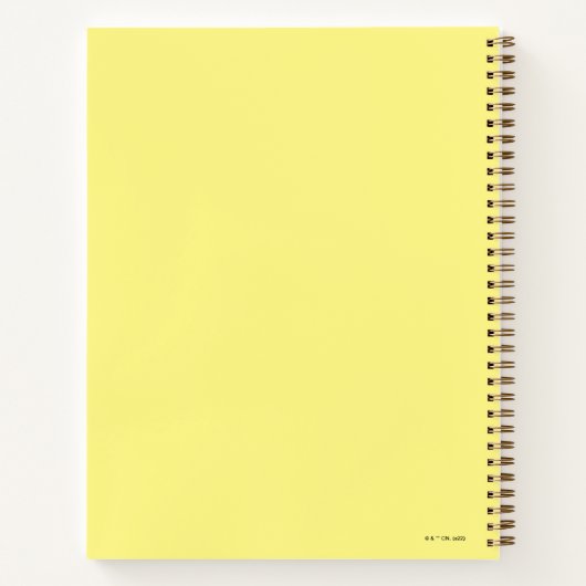 Carnet Grizz - La musique est ce que les sentiments resse (Dos)