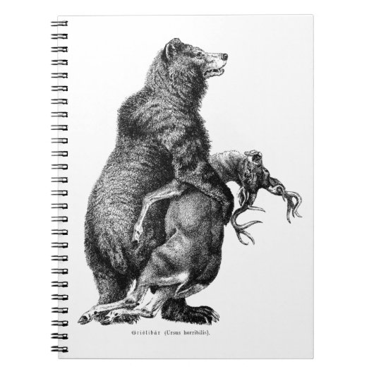 Carnet Grizzly ours chasse cerfs Dessin simple (Devant)