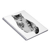Carnet Groom quotidien (Côté Droit)