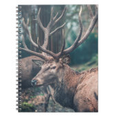 Carnet Gros cerf Brown avec gros colliers (Devant)