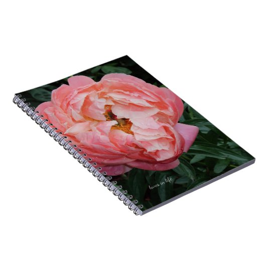 Carnet Gros Gras Pink Peony (Côté Droit)
