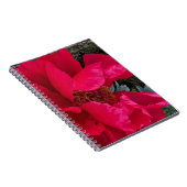 Carnet Gros Gras Red Peony (Côté Droit)