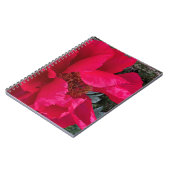 Carnet Gros Gras Red Peony (Côté gauche)