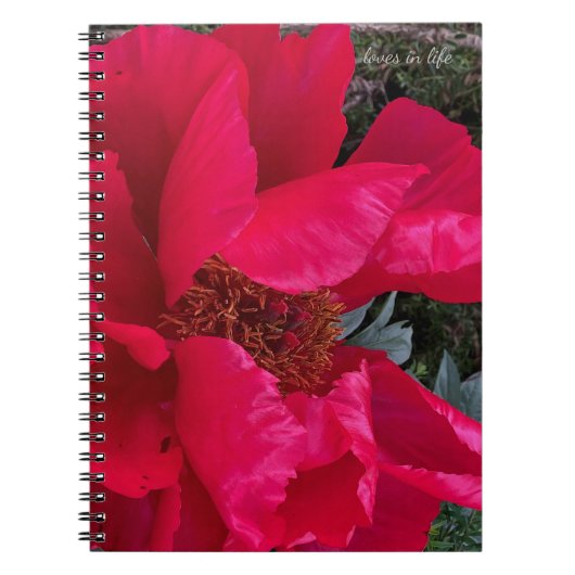 Carnet Gros Gras Red Peony (Devant)