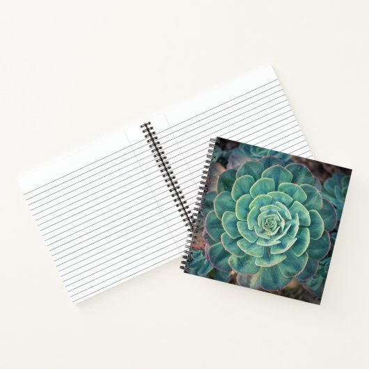 Carnet Gros plan (Intérieur)