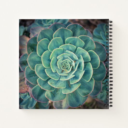 Carnet Gros plan (Dos)