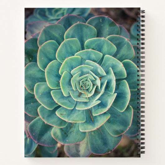 Carnet Gros plan (Dos)