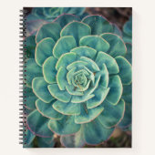 Carnet Gros plan (Devant)