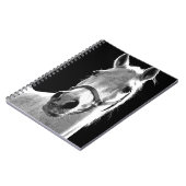 Carnet Gros plan Cheval Noir Blanc la Nuit (Côté gauche)