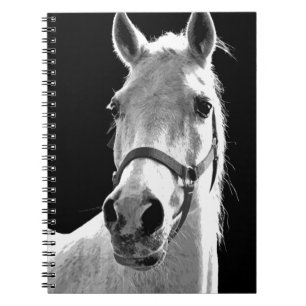 Carnet Gros plan Cheval noir et blanc la nuit