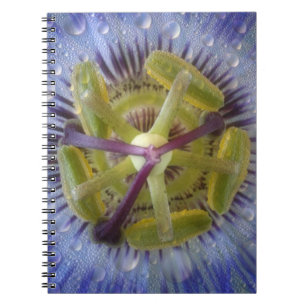 Carnet Gros plan de fleur de la passion couverte de rosée