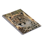 Carnet Gros plan de guépards (Côté Droit)