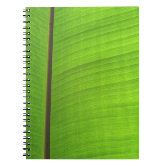 Carnet Gros plan de la feuille de banane (Devant)