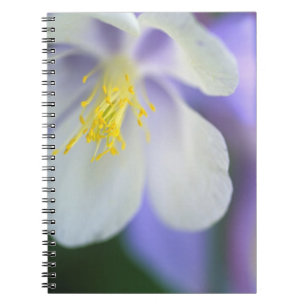 Carnet Gros plan de la fleur de l'Ancolie du Colorado.