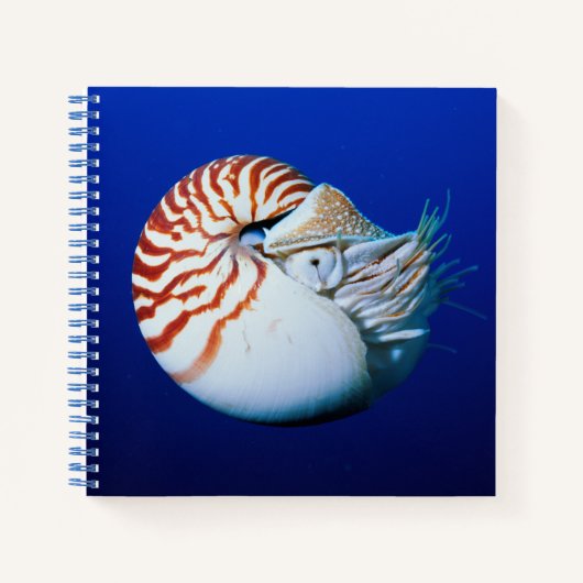 Carnet Gros plan de nautile à chambre (Devant)