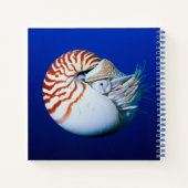 Carnet Gros plan de nautile à chambre (Dos)