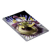 Carnet Gros plan de Passionflower (MR) (Côté Droit)