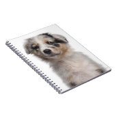 Carnet Gros plan du chiot de Blue Merle Australian Shephe (Côté Droit)