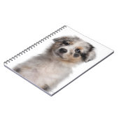 Carnet Gros plan du chiot de Blue Merle Australian Shephe (Côté gauche)