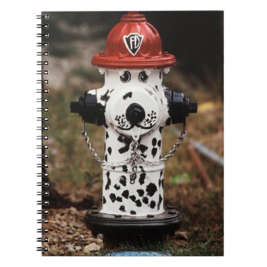 Carnet Gros plan d'une borne d'incendie (Devant)