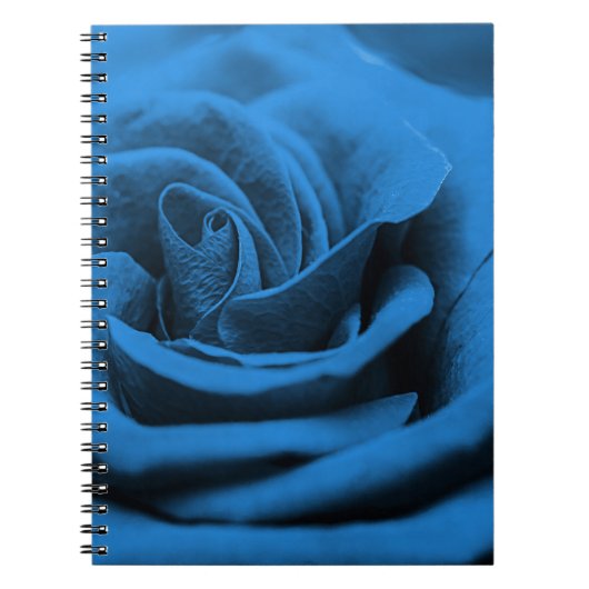 Carnet Gros plan rose bleue rouge, macro beauté. (Devant)