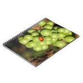 Carnet Gros plan sur les raisins verts Pinot Noir (Côté gauche)