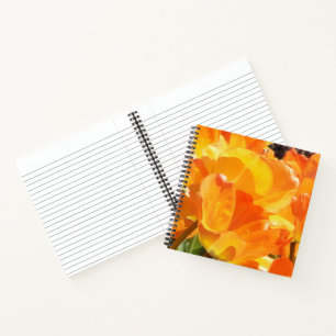 Carnet Gros plan Tulipes orange et jaune