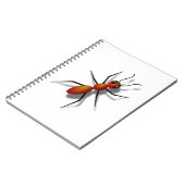Carnet Grosse fourmi rouge (Côté gauche)