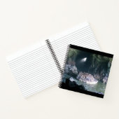 Carnet Grotte de lion de mer, OU (Intérieur)