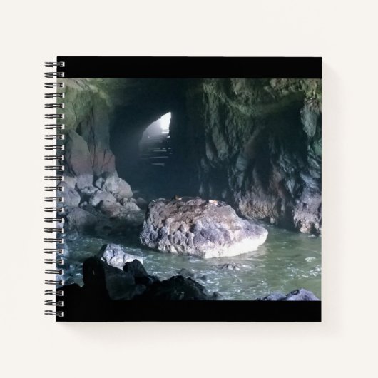 Carnet Grotte de lion de mer, OU (Devant)