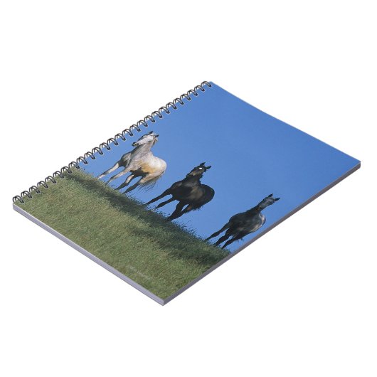 Carnet Groupe d'Arabes (Côté gauche)