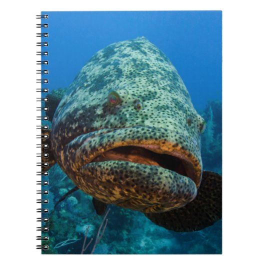 Carnet Groupe de Atlantic (Devant)