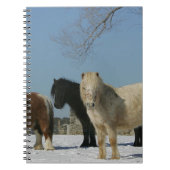 Carnet Groupe de chevaux miniatures dans la neige (Devant)