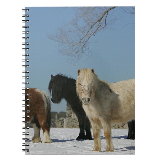Carnet Groupe de chevaux miniatures dans la neige (Devant)