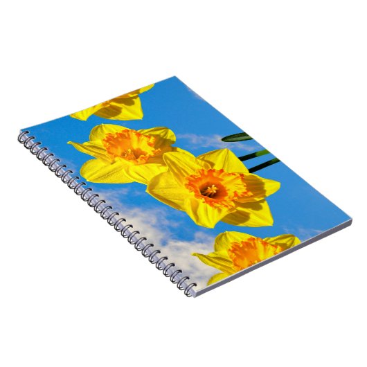 Carnet Groupe de Daffodils Médaille d'or Fleurs (Côté Droit)