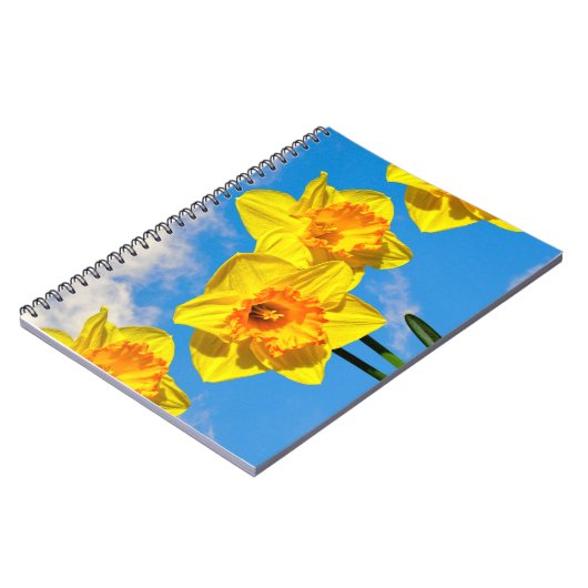 Carnet Groupe de Daffodils Médaille d'or Fleurs (Côté gauche)