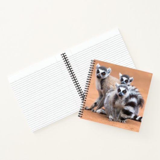 Carnet Groupe de lémuriens à cordon (Intérieur)