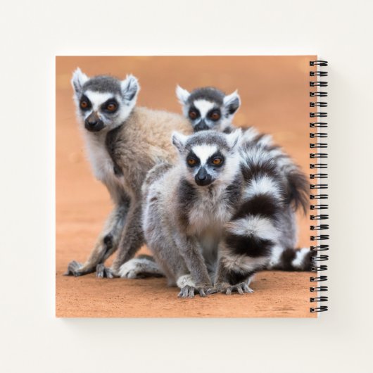 Carnet Groupe de lémuriens à cordon (Dos)