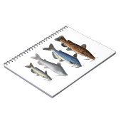 Carnet Groupe de poissons de l'Amérique du Nord (Côté gauche)