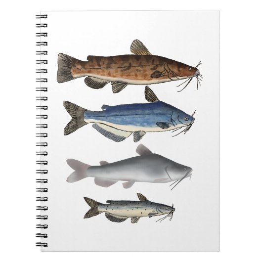 Carnet Groupe de poissons de l'Amérique du Nord (Devant)