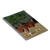 Carnet Groupe de poulains de pur sang (Côté Droit)