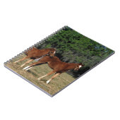 Carnet Groupe de poulains de pur sang (Côté gauche)
