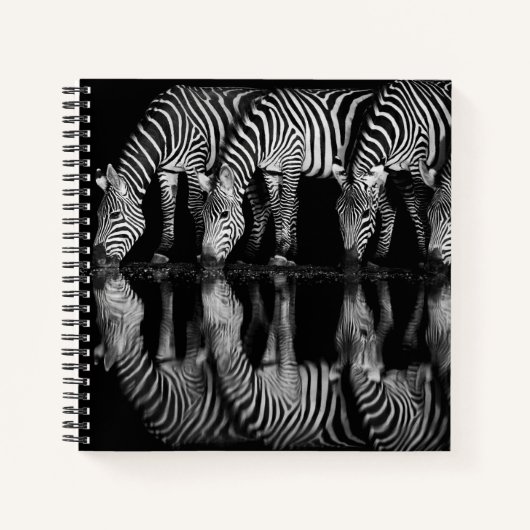 Carnet Groupe de zèbres des plaines boivent ensemble la n (Devant)