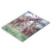 Carnet Groupe ou troupeau de girafes avec jeunes, Giraffa (Côté gauche)